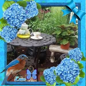 Meet your Posher, Irene